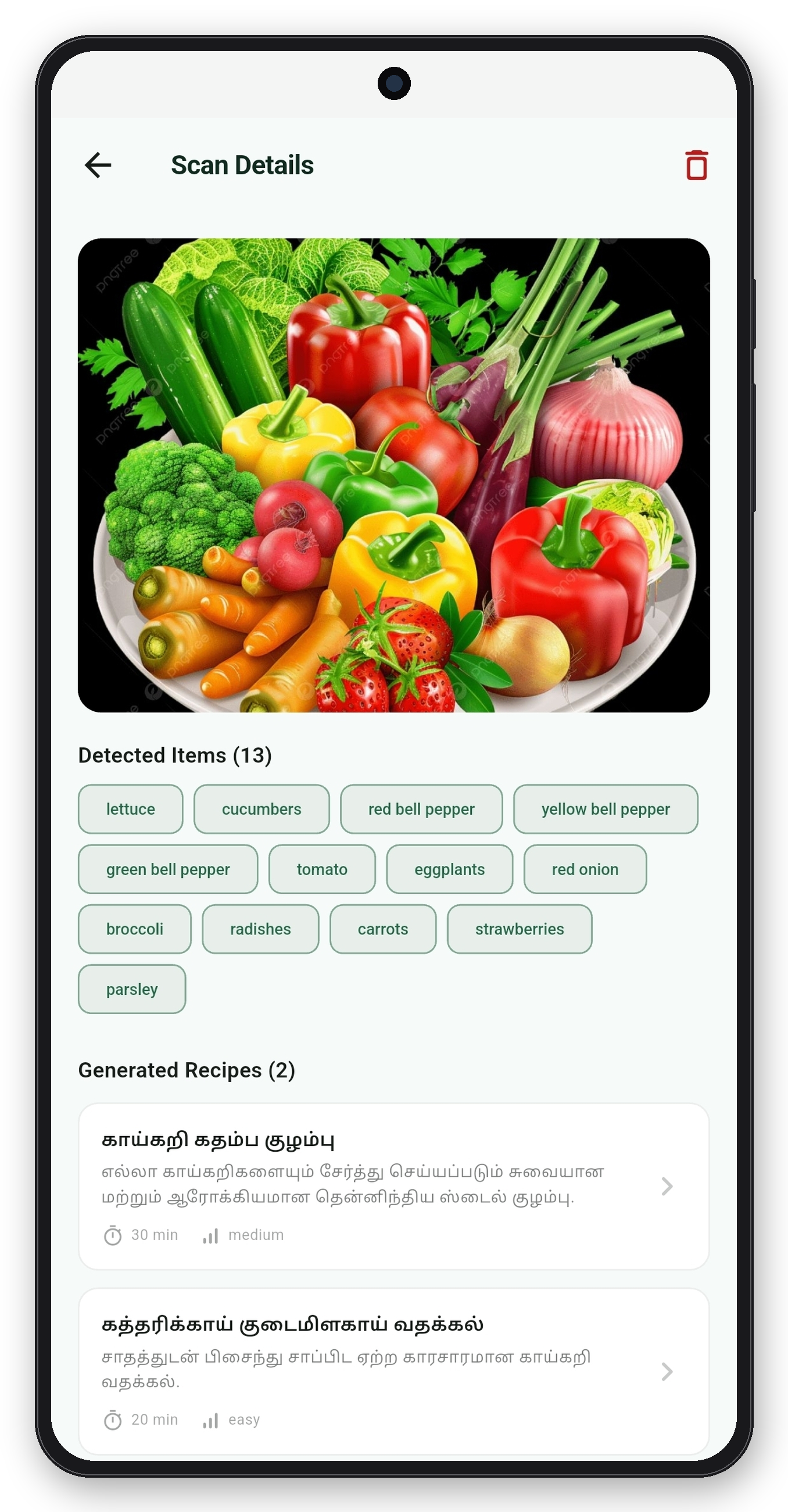 VOChef scan details — AI detected 13 ingredients from a fridge photo, and generated two Tamil recipes